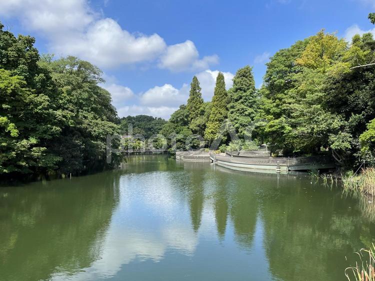 晴れた自然の風景 湖,春,爽やかの写真素材