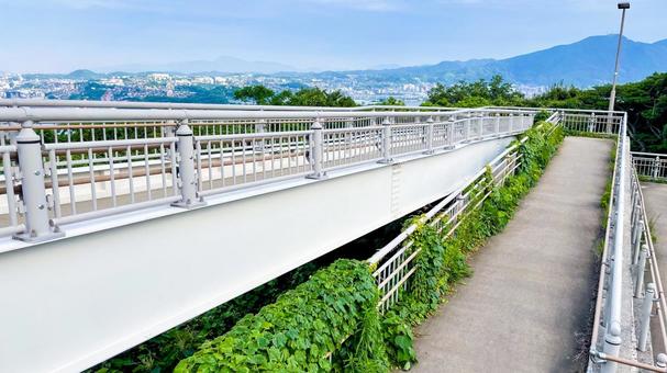高塔山公園の園内風景 高塔山公園,若松区,北九州の写真素材