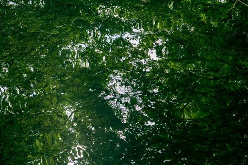 Photo, reflection, watermarks, green, 