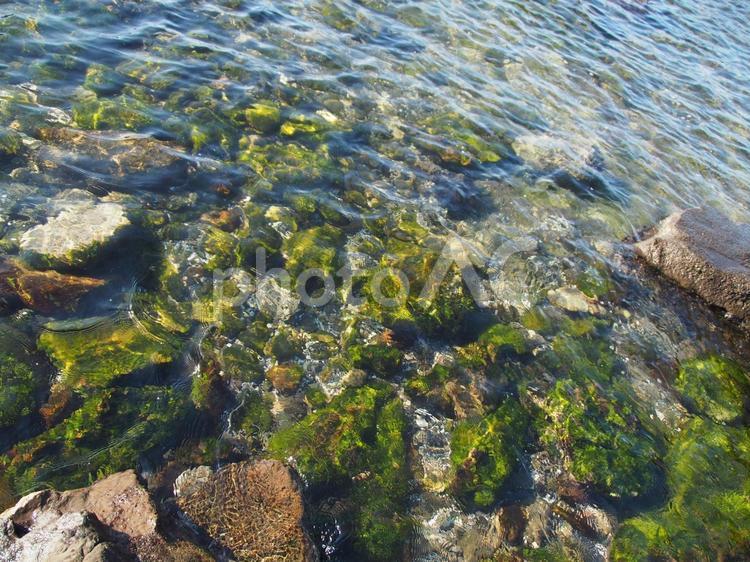 海の浅瀬 海辺,浅瀬,川辺の写真素材
