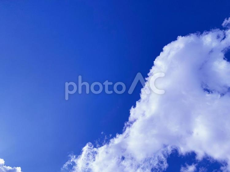 青空と力強く湧き立つ白い雲 空,青空,空背景の写真素材