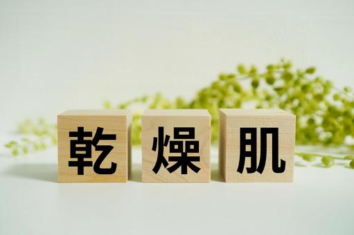 木製ブロックに『乾燥肌』の文字 木製ブロックに『乾燥肌』の文字 乾燥肌,肌,皮膚の写真素材