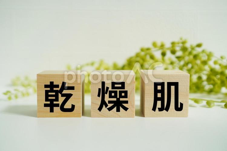 木製ブロックに『乾燥肌』の文字 乾燥肌,肌,皮膚の写真素材
