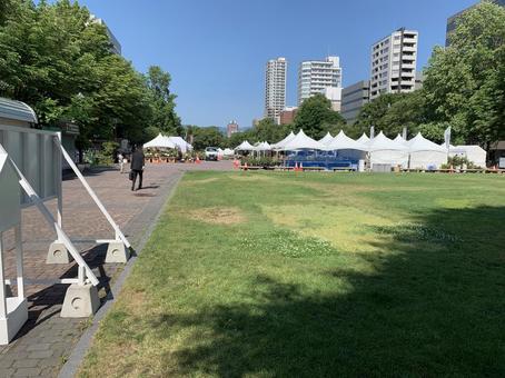 6月下旬さっぽろ大通公園西7丁目 6月下旬さっぽろ大通公園西7丁目 札幌,大通公園,公園の写真素材
