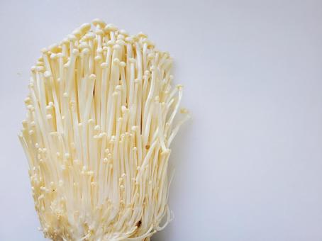 えのき茸の写真