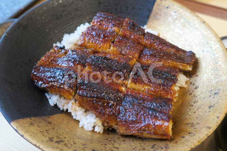 うな丼（うなぎ） うなぎ,鰻,うな丼の写真素材