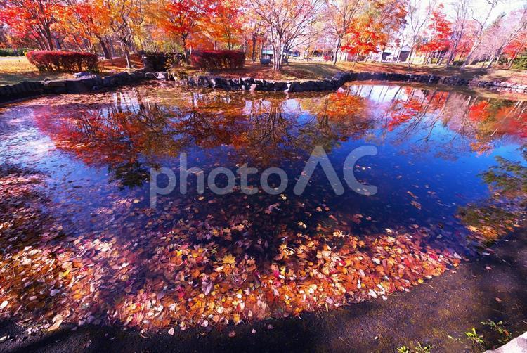 晩秋の北海道開拓の村 晩秋,開拓の村,建物の写真素材
