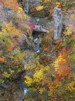秋の鳴子峡 鳴子峡,紅葉,秋の写真素材