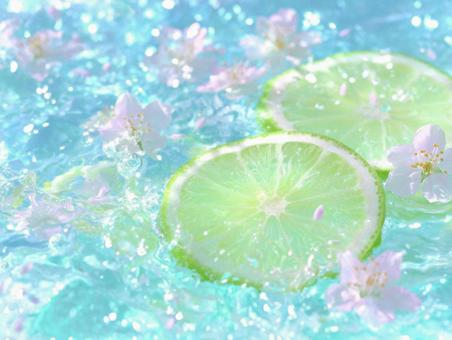 キラキラ輝く水面とライム1 キラキラ輝く水面とライム1の写真