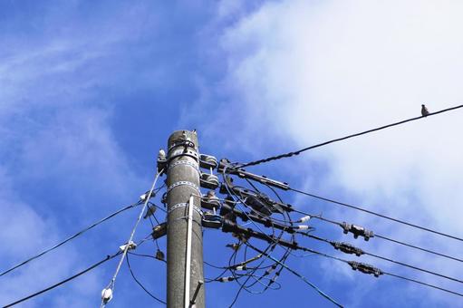 電信柱のとまるスズメの群れ01 すずめ,雀,電信柱の写真素材