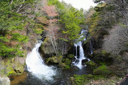 龍頭の滝5(栃木県日光市にて) 龍頭の滝5(栃木県日光市にて) 龍頭の滝,奥日光三名瀑,自然景勝地の写真素材