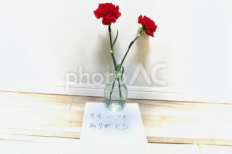 母の日のカーネーション 母の日,カーネーション,メッセージの写真素材