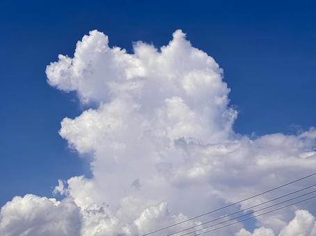 【風景写真】夏空 【風景写真】夏空の写真