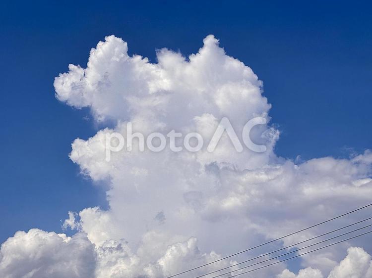 【風景写真】夏空 夏空,空,雲の写真素材