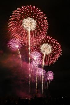 花火 花火の写真