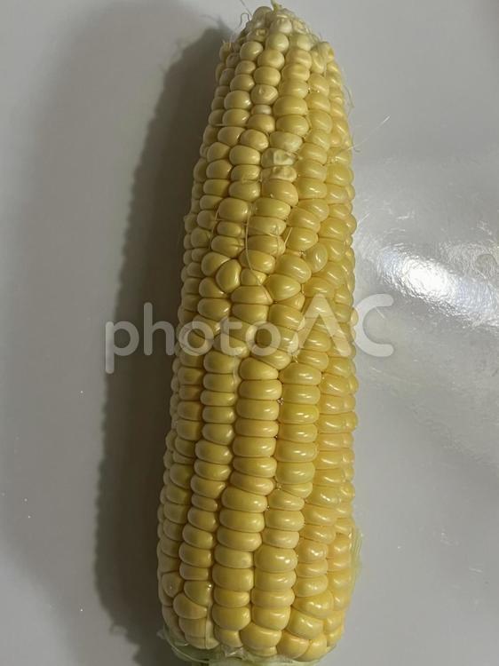 とうもろこし とうもろこし,野菜,生の写真素材