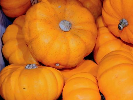 ハロウィンで飾る黄色いカボチャ ハロウィンで飾る黄色いカボチャ かぼちゃ,ミニカボチャ,プッチーニの写真素材
