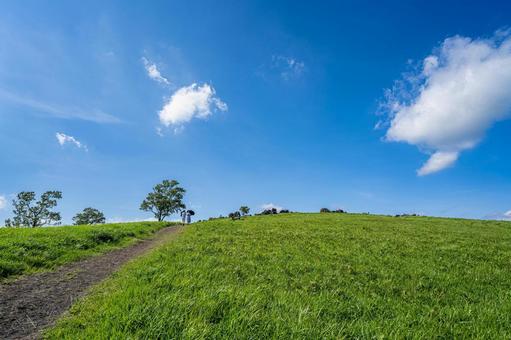 熊本-【押戸石の丘】 熊本,阿蘇市,阿蘇山の写真素材