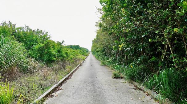 沖縄県津堅島の島の外周道路 沖縄県津堅島の島の外周道路 外周,道,津堅島の写真素材