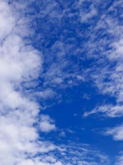 夏空 夏空の写真