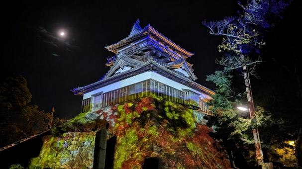 月夜の丸岡城のプロジェクションマッピング 丸岡城,プロジェクションマッピング,ライトアップの写真素材