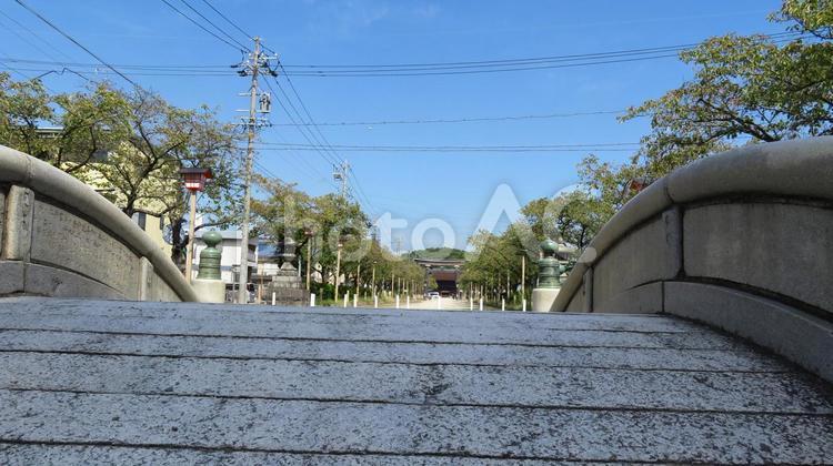 国府宮神社　太鼓橋と参道 尾張大國霊神社,尾張大国霊神社,国府宮神社の写真素材