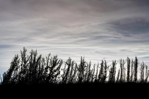 美しい夜空 美しい夜空の写真