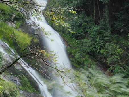 美しい滝 滝,水,ウォーターの写真素材