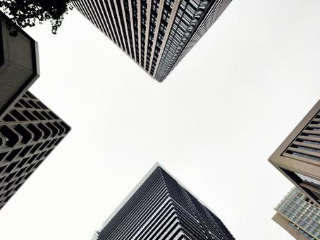 コンクリートジャングル コンクリートジャングルの写真