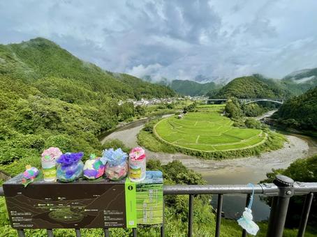 和歌山 あらぎ島 展望台から 1 和歌山 あらぎ島 展望台から 1 あらぎ島,棚田,田んぼの写真素材