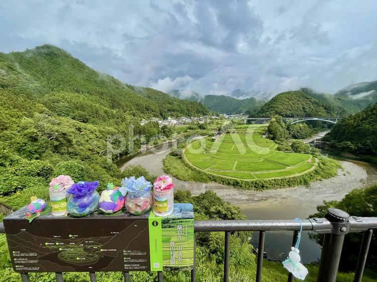 和歌山　あらぎ島　展望台から　1 あらぎ島,棚田,田んぼの写真素材