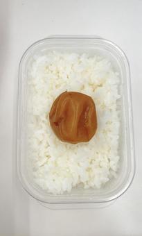 日の丸弁当 日の丸弁当の写真