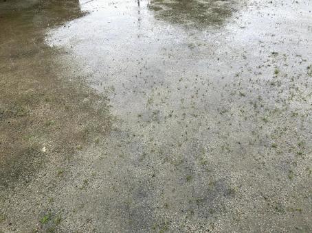 公園の水溜まり 公園の水溜まり 公園,水溜まり,雨の写真素材