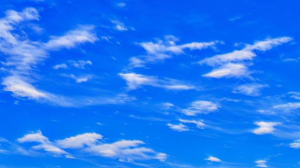 Photo, summer, blue sky, sunny, 