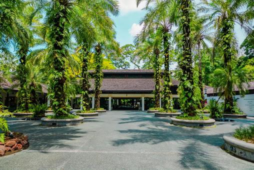 【シンガポール】植物園オーキッドガーデン オーキッドガーデン,ナショナル,国立の写真素材