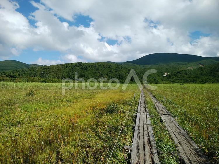 栗駒山　名残ヶ原 湿原,野原,風景の写真素材
