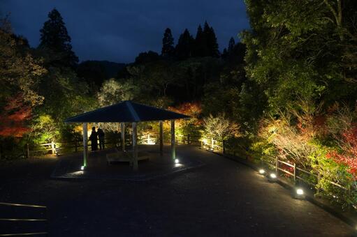宮崎県三股町の長田峡の紅葉ライトアップ 宮崎県,三股町,長田峡の写真素材