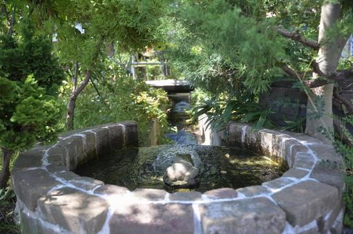 綺麗な風景 綺麗な風景の写真