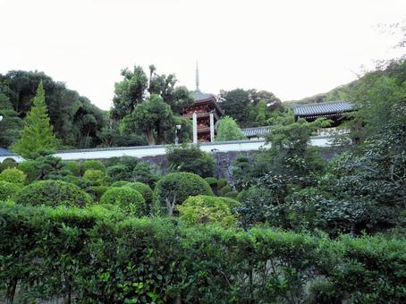 中道山 円光寺 明王院 中道山 円光寺 明王院 福山市,円光寺,明王院の写真素材