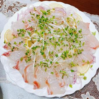 お母さんが作った鯛のカルパッチョ 食べ物,コース,前菜の写真素材
