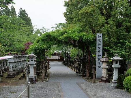 知覧特攻平和観音堂 知覧特攻平和観音堂 知覧特攻平和会館,鹿児島,南九州市の写真素材