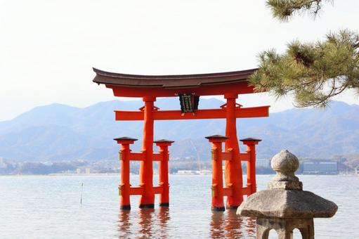厳島神社の鳥居 厳島神社の鳥居 鳥居,厳島神社,宮島の写真素材