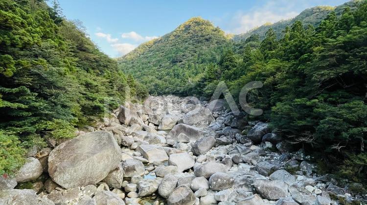 屋久島の見覚えのある川 屋久島,旅行,ハイキングの写真素材