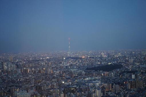 夕暮れの東京の街並みとスカイツリー 夕暮れの東京の街並みとスカイツリーの写真