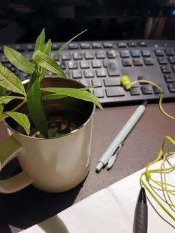 作業デスクで小休止 デスク,事務作業,パソコンの写真素材