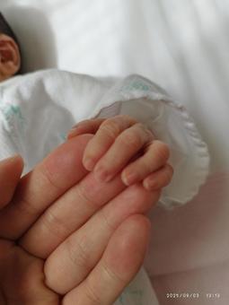 新生児とママの手 赤ちゃん,手,新生児の手の写真素材