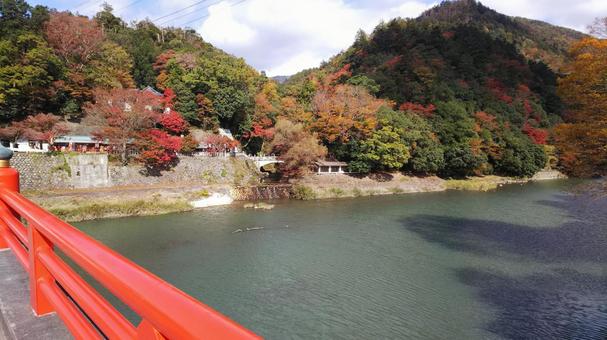 紅葉と赤い欄干 紅葉と赤い欄干の写真