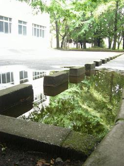 水たまり 水たまりの写真