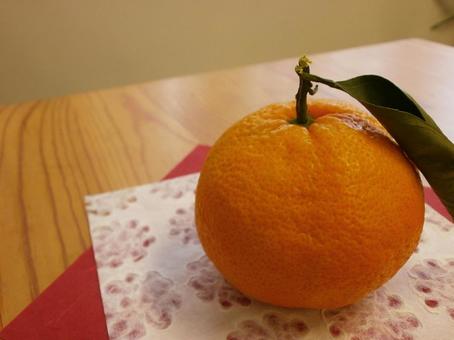 みかんの写真