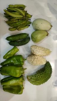 夏野菜 夏野菜の写真